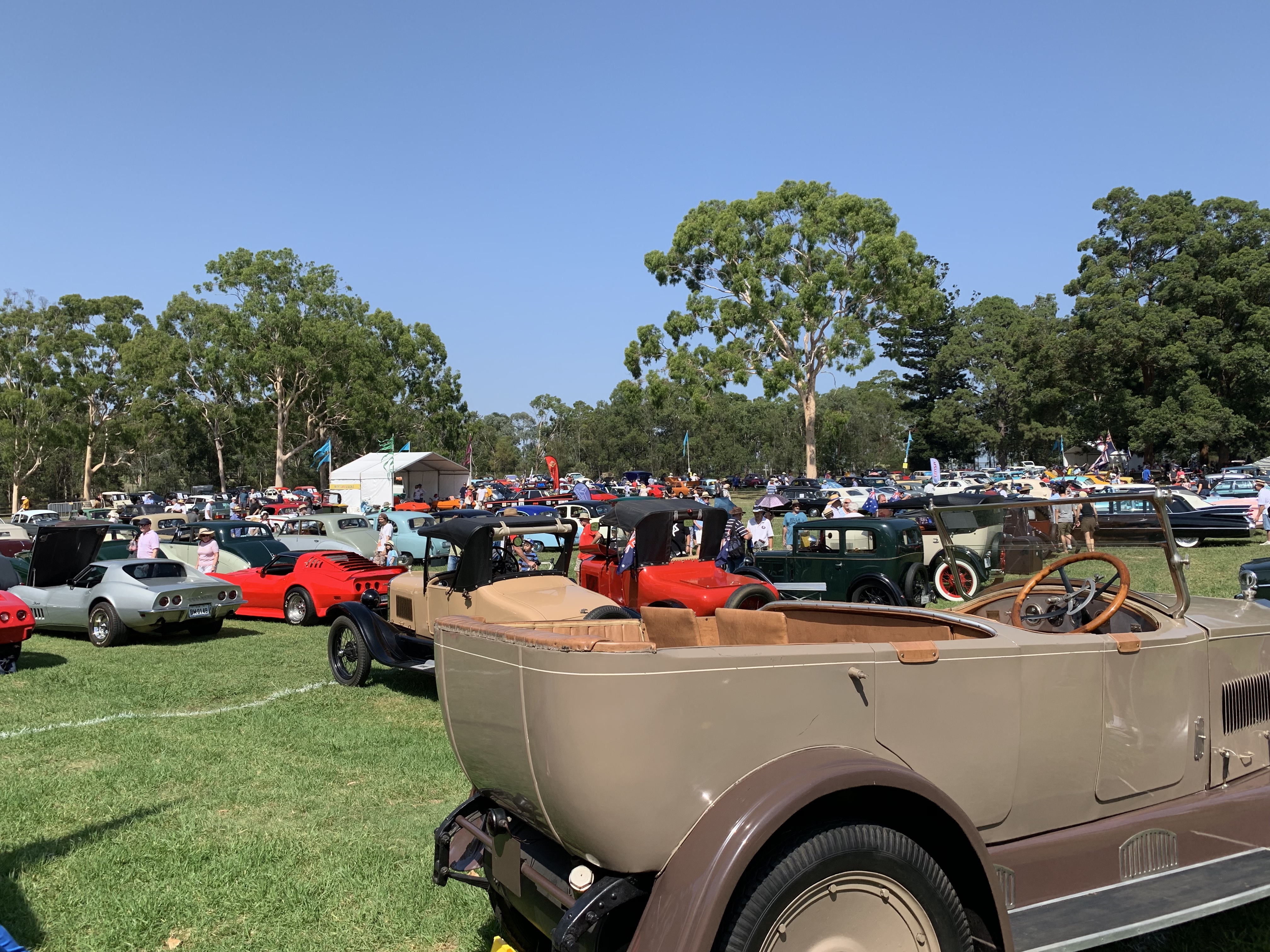 A light and dark brown classic car is at the bottom right hand side of the photo. Behind it are rows of multicoloured cars parked on a grass field. Tall green dress are in the background. 